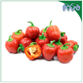 BELL PEPPER RED