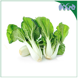 BOKCHOY