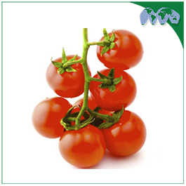 CHERRY TOMATO - RED