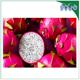 DRAGON FRUIT