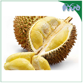 DURIAN FRUIT