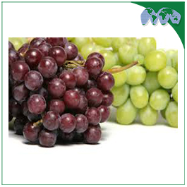 GRAPES - RED/GREEN