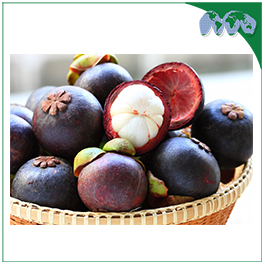 MANGOSTEEN