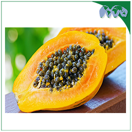 PAPAYA