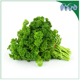 PARSLEY