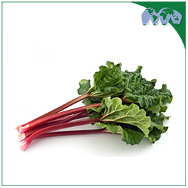 RHUBARB