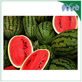 WATER MELON