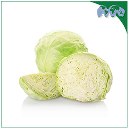 WHITE CABBAGE