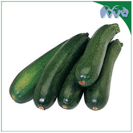 ZUCCHINI GREEN